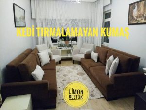 kedi tırmalamayan kumaş