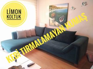 kedi tırmalamasına son