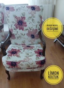 berjer model değişimi